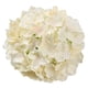 thumbnail image 1 of Flojery Silk Hydrangea Heads Cabezas de flores artificiales con tallos para la decoración de la boda en el hogar, paquete de 10 (champán) Flojery Flores Artificiales, 1 of 2