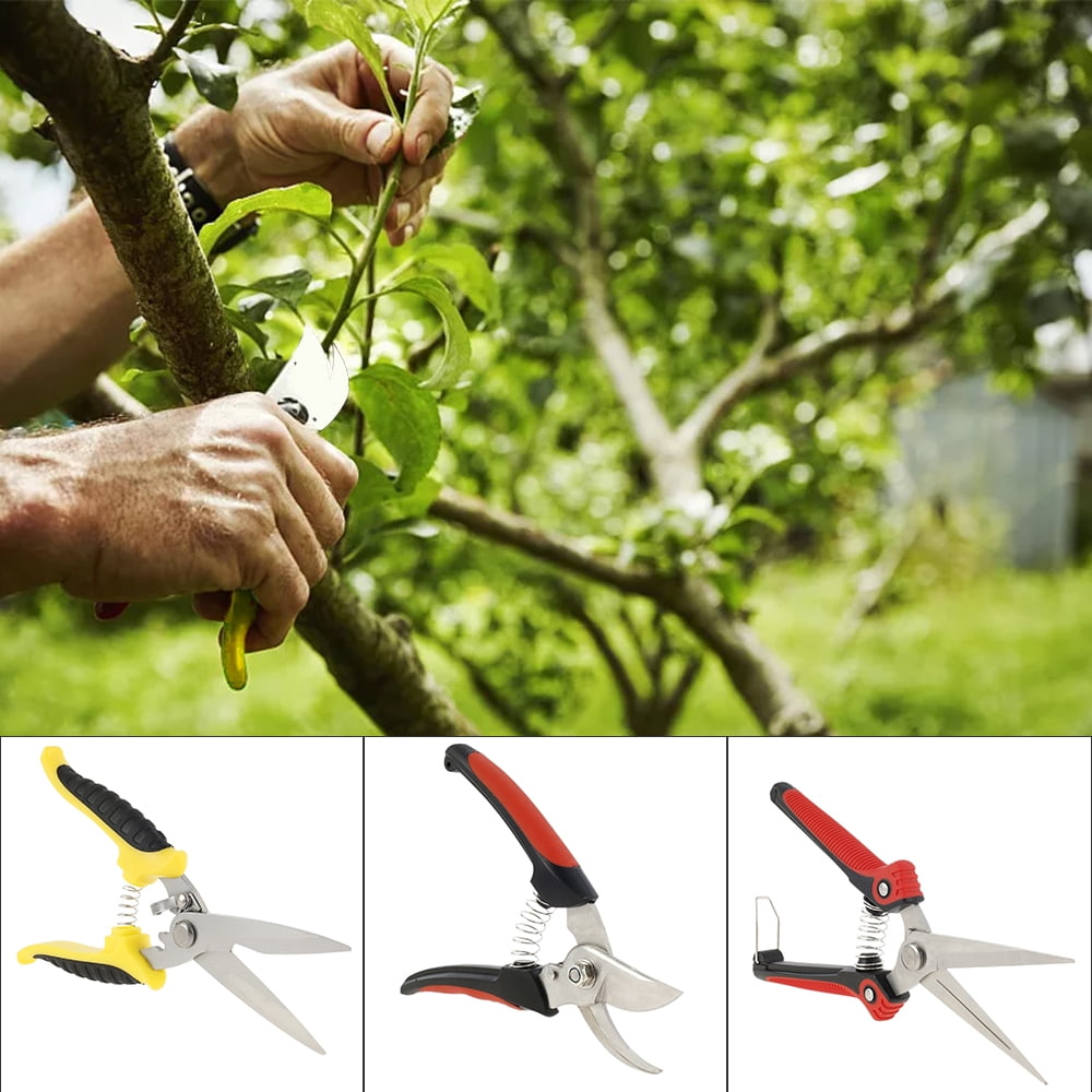 Bent Professional Garden Pruning Farming Cutting Tool Scissor Fruit Trees Pruner 