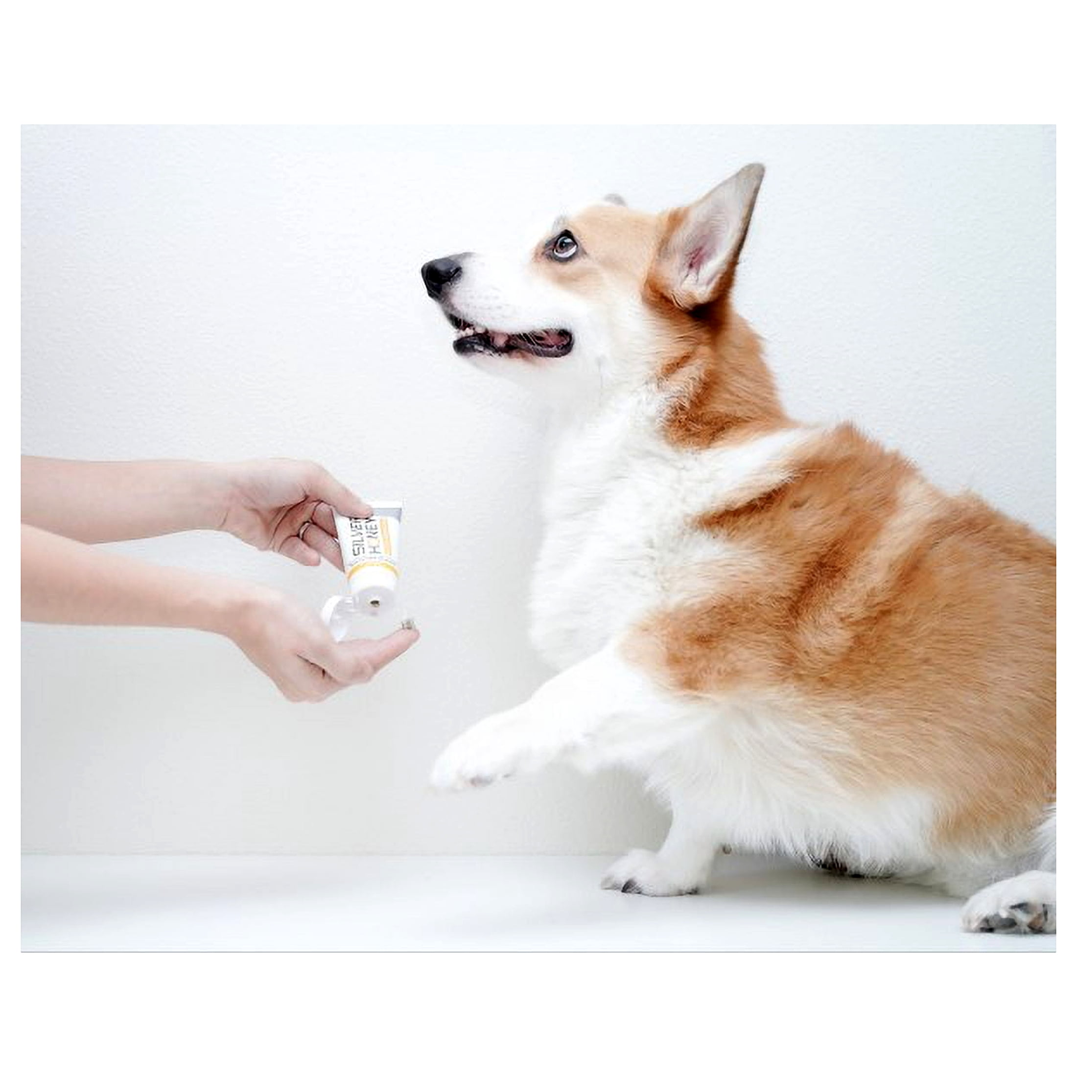 Absorbine Silver Honey Hot Spot & Wound Care Ointment, Medicated Skin Care for Dogs, Cats, Small Animals