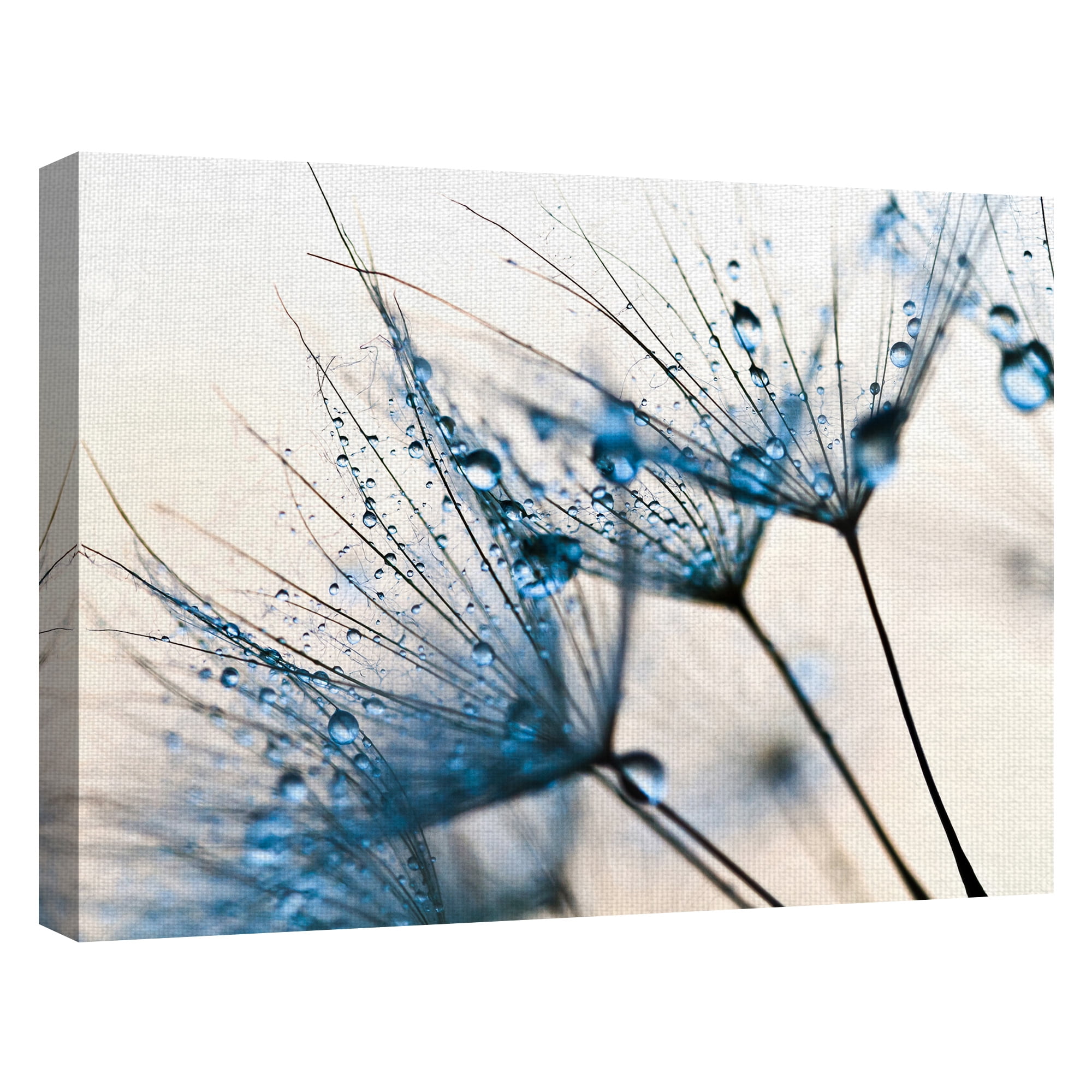 Masterpiece Art Gallery Mystic Blues Prairie Smoke by PhotoINC Studio Canvas Art Print 30" x 40"