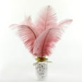 thumbnail image 5 of 10 Pack Natural Ostrich Feathers, 10-12 in (25-30cm) Crafts DIY Plume Feather for Centerpieces Home Wedding Party Table Decoration - Pink, 5 of 7