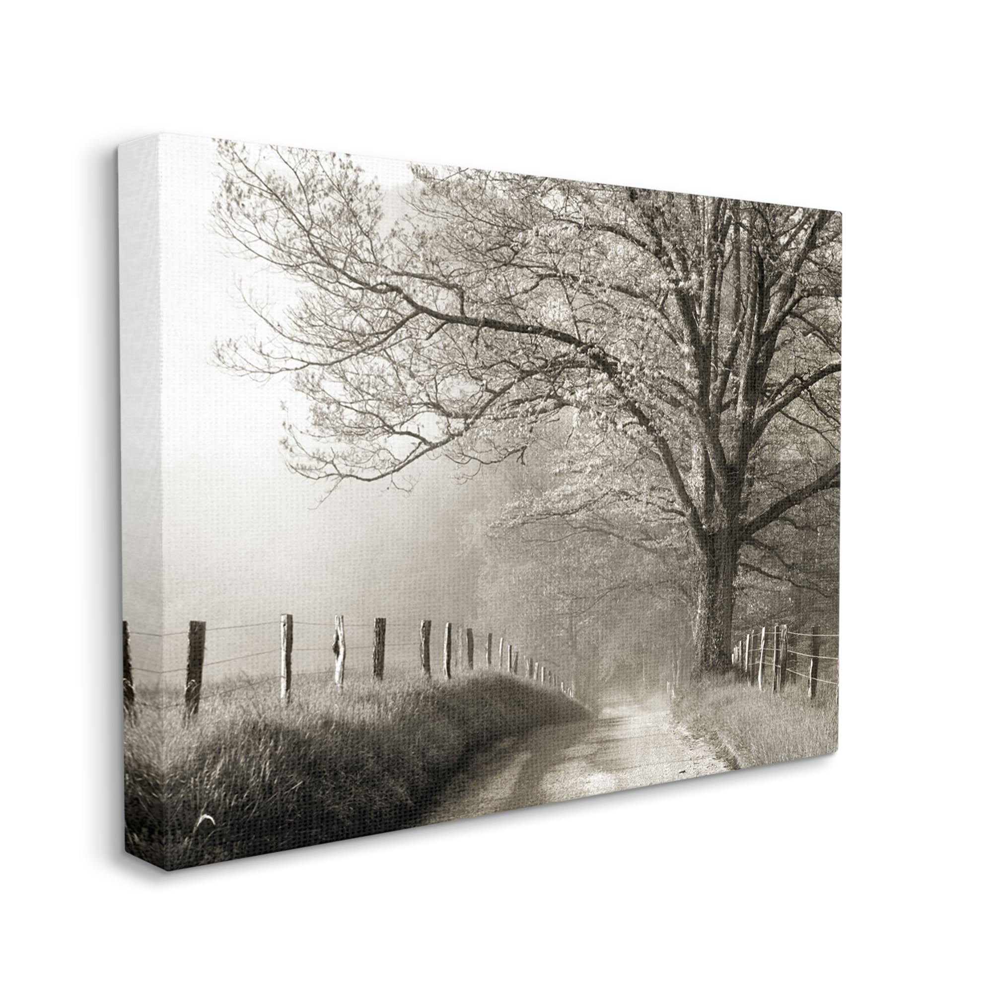 Stupell Rural Scenery Fenced Path Landscape Photography Gallery Wrapped Canvas Print Wall Art