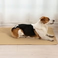 thumbnail image 3 of Pañal para perros Discipline Pañal impermeable y lavable Pañal para perros, conejos y gatos, 3 of 5