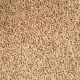 Grain Place Foods NonGMO Organic Hulled Barley Made in the USA 2