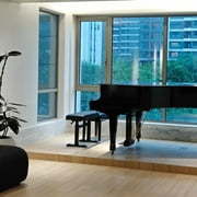 Piano Bench with Hydraulic Adjustable Seat,Harp Bench Black,27.5x12x(18-24)