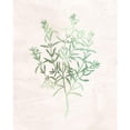 thumbnail image 3 of Kimberly, Allen 20x24 Black Modern Framed Museum Art Print Titled - Watercolor Herb 2, 3 of 5
