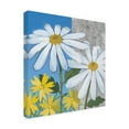 thumbnail image 2 of Anne Tavoletti 'Coastal Life II' Canvas Art, 2 of 3