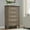 Gray, variant on KATIDAP Dresser for Bedroom with 5 Drawers, Wood Tall Dresser Drawers for Hallway, Living Room,Gray