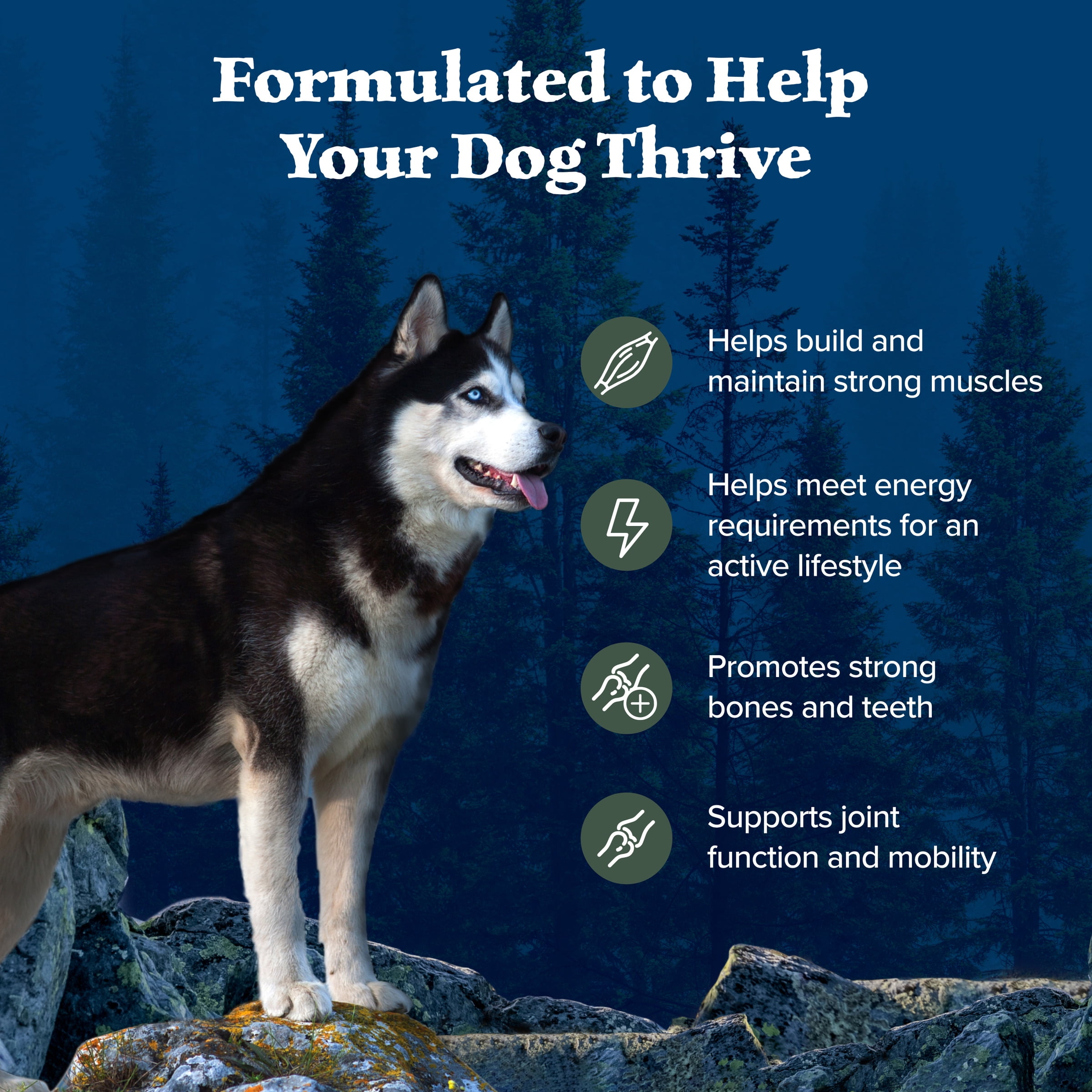 Blue Buffalo Wilderness Natural High-Protein Dry Food for Adult Dogs, Duck, 28-lb bag.