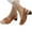 Brown, variant on Sandals for Womens Dressy Summer,Comfortable Elegant Low Chunky Heel Shoes Women Summer Thick Heel Sandals Pumps Ankle Buckle Open Toe Casual Shoes