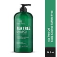 thumbnail image 2 of Botanic Hearth Tea Tree Shampoo – 100% Pure Tea Tree Oil, Vitamin C, Peppermint, Lavender & Rosemary Oil – Sulfate & Paraben Free, All Hair Types, 16 fl. oz, 2 of 8
