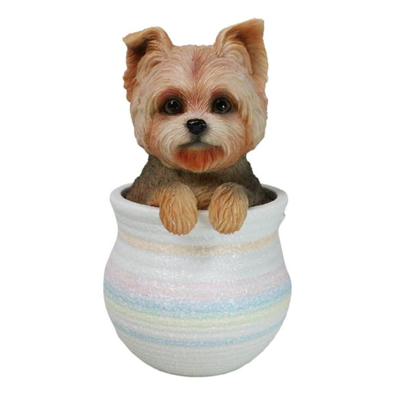 Yorkie Yorkshire Terrier Teacup Puppy Dog Figurine With Glass Eyes Pup In Pot