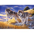 thumbnail image 1 of Diamante de pintura (DE5405) Kit de diamantes de imitación de lobo DIY Cuadro de arte cuadrado Decoración 20X30cm FLhrweasw Nuevo, 1 of 1