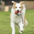 thumbnail image 3 of Vibrant Life Rubber Ball with Rope Dog Toy, 3 of 3