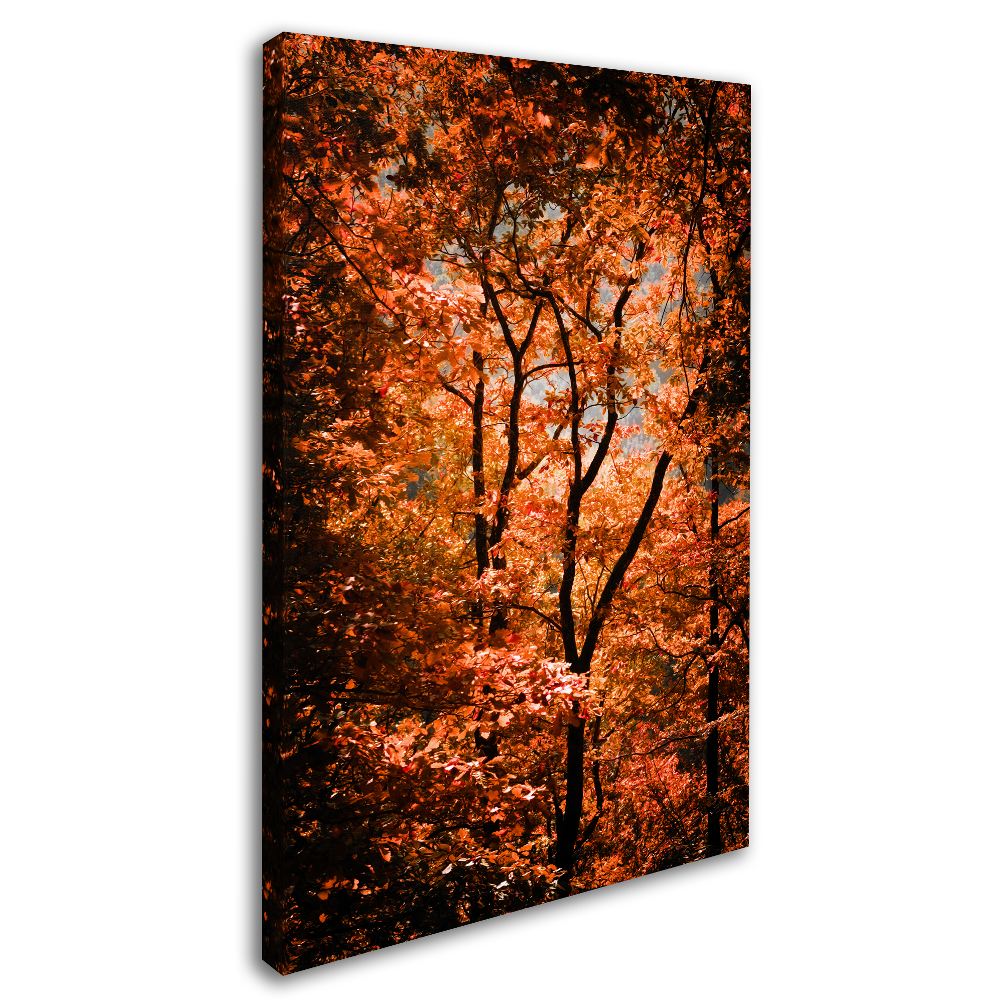 Trademark Fine Art "Autumn Whispers" Canvas Art by Philippe Sainte-Laudy
