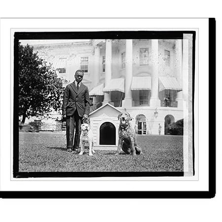 Historic Print, Mrs. Harding's dog O'Boy & Laddie Boy, 16" x 20"