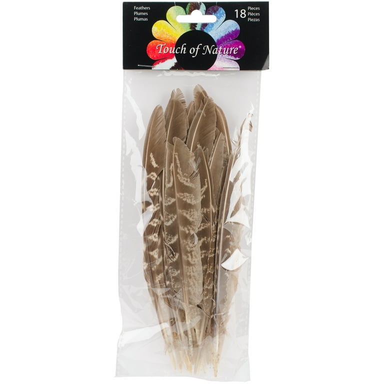 Natural Pheasant Feathers (16-18 inches) - Feathers - Basic Craft Supplies  - Craft Supplies