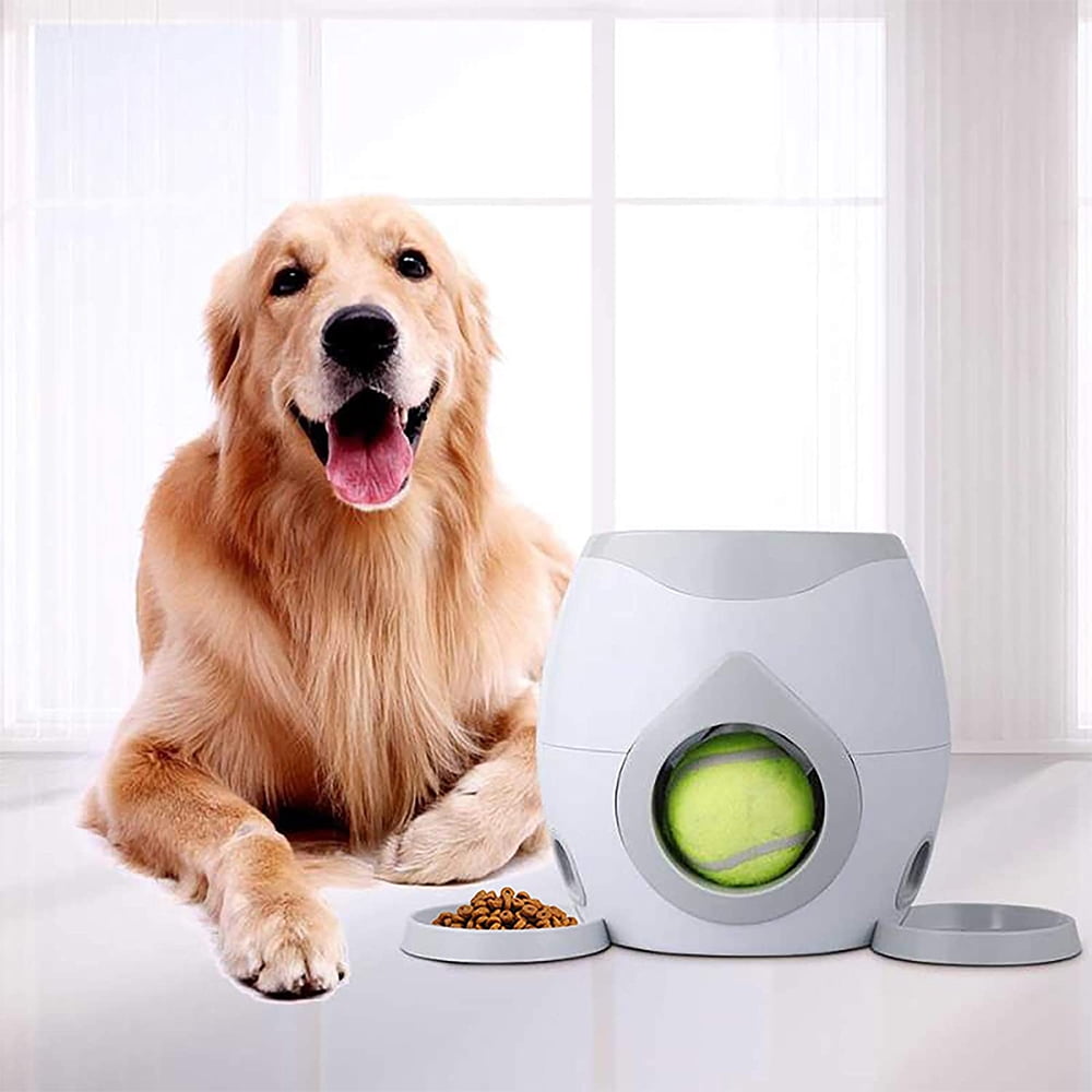 Interactive tennis ball launcher and treat 2025