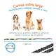 thumbnail image 3 of Correas Perros Elástica Manos Libres Nylon P/ Entrenamiento, 3 of 8