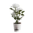 thumbnail image 2 of Lámpara 3LED Rose Flower Solar Light Bonsai Maceta Jardín Interior Balcón Decoración Lámpara, 2 of 7