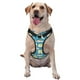 thumbnail image 1 of Fotbe Cute Polar Bear Fishing Arnés para Perro con Estampado –Chaleco Ajustable Acolchado con Asa de Control para Perros Grandes-X-Large, 1 of 6
