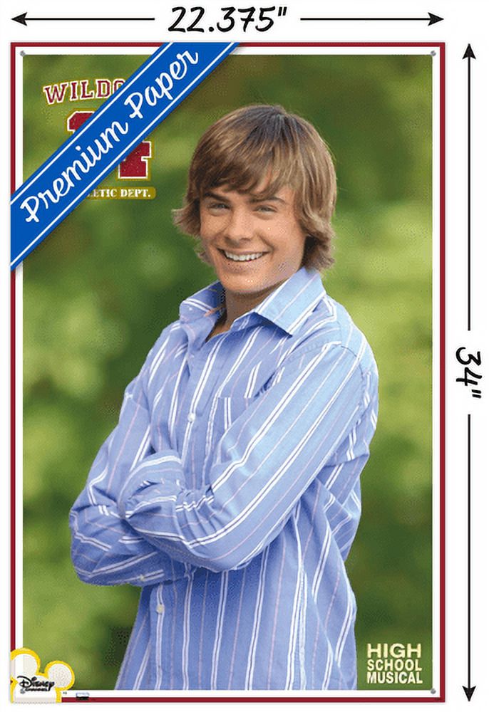 High School Musical - Troy Wall Poster with Pushpins, 22.375" x 34"