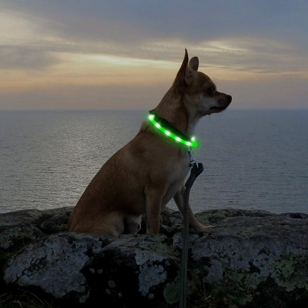 USB Rechargeable LED Light Up Dog Collars - 1 Cuttable Size Dog Collars for Large Dogs Medium Dogs Small Dogs ,Safety and Cool Neon Dog Collar for Dog Running and Walking at Night - image 3 of 6