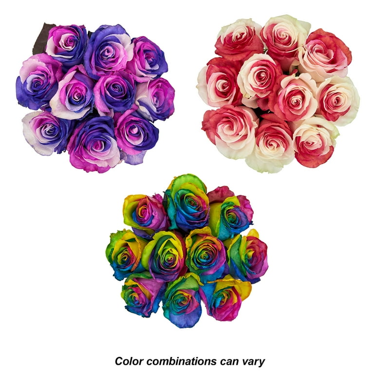 Fresh-Cut Tinted Roses Flower Bunch, Minimum 10 Stems, Colors Vary