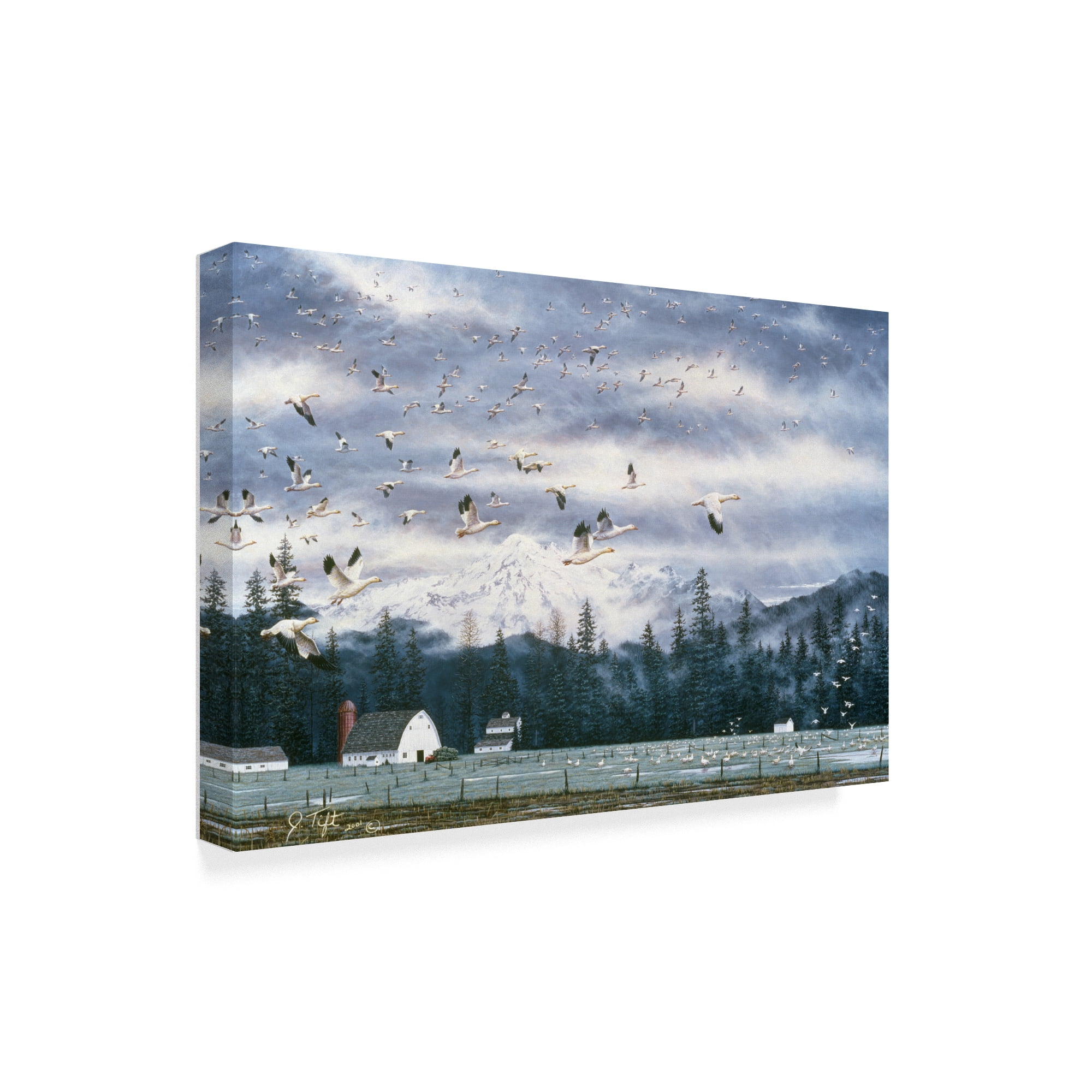 Trademark Fine Art 'Geese Flying Over Farmland' Canvas Art by Jeff Tift