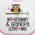 thumbnail image 4 of Inktastic Grammy and Grandpa Love Me Owl Girls Baby Bib, 4 of 4