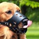 thumbnail image 1 of brillar Bozal de cuero suave para perros, antimordeduras, seguro, ajustable, transpirable, para mascotas, bozal para perros pequeños y grandes, 1 of 3