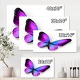 thumbnail image 4 of Designart Violet and Blue Butterfly Canvas Wall Art, 4 of 4
