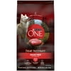 Purina ONE Grain Free Natural Dry Dog Food, True Instinct With Real Beef, 3 lb. Bag