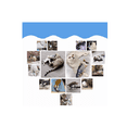 thumbnail image 2 of Juguete De Gato Pez Bailando Eléctrico, 2 of 4
