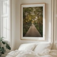thumbnail image 5 of Atlantic Walk - Fire Island New York Photography Nature Boardwalk Forest Landscape Autumn Oak Framed Wall Art Print 9 x 12 inches, 5 of 12