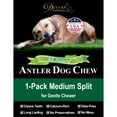 thumbnail image 5 of Deluxe Naturals 1-Pack Medium Split Elk Antler Dog Chew, Naturally Shed A-Grade Elk Antler Treat for Small and Tiny Dogs, 5 of 11