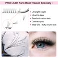 thumbnail image 2 of Extensiones de pestañas con volumen prefabricadas PRO LASHBEAUTY 7D-C-0.07-15, 2 of 7