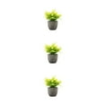 thumbnail image 3 of kurtrusly Realistic Artificial Succulent Low Maintenance Elegant Easy To Clean Artificial Money Tree In Pot yellow rose 3Set, 3 of 6