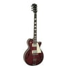 Johnson JH-100-WNB Delta Rose Electric Guitar, Wineburst Multi-Colored