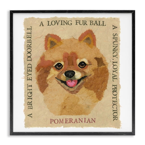 Stupell Industries Shabby Chic Fun Pomeranian Pet Phrases Black Framed Giclee Art, 12 x 12, by Nancy Overton