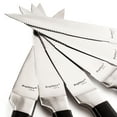 BergHOFF DiNA Matrix 6Pc Stainless Steel Steak Knife Set, 4.5
