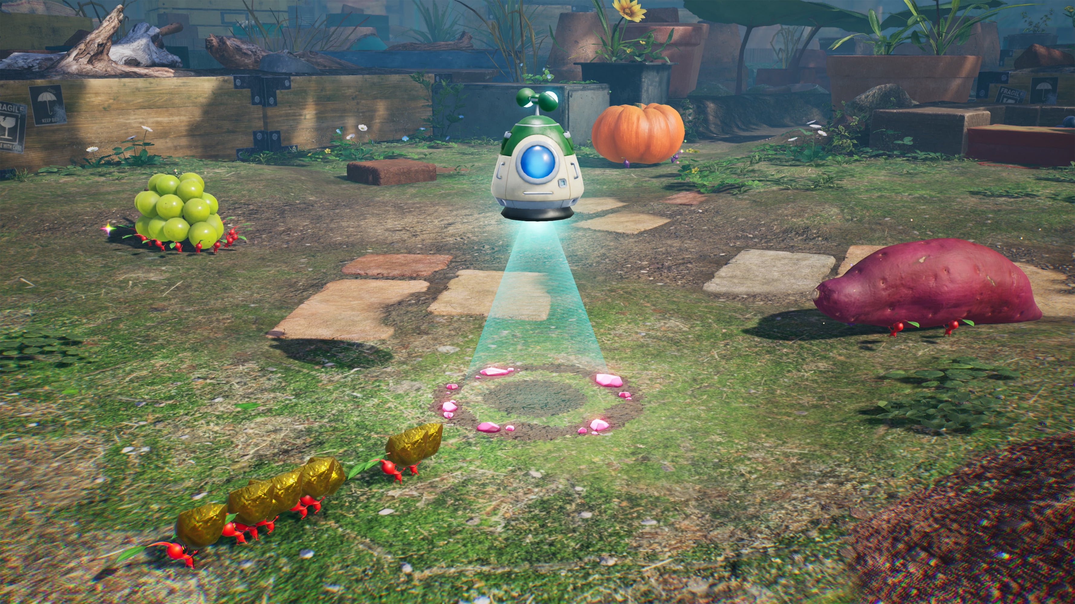 Pikmin™ 4 – Nintendo Switch™ 2 Edition + Dandori Academy