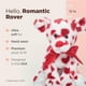 thumbnail image 2 of Peluche Bearington Romantic Rover para el Día de San Valentín, 30 cm, 2 of 6