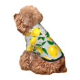 thumbnail image 5 of Haiem Lemon1 for Winter Dog Hoodie Sweatshirts with Pockets Warm Dog Clothes for Small Dogs Chihuahua-Large, 5 of 7