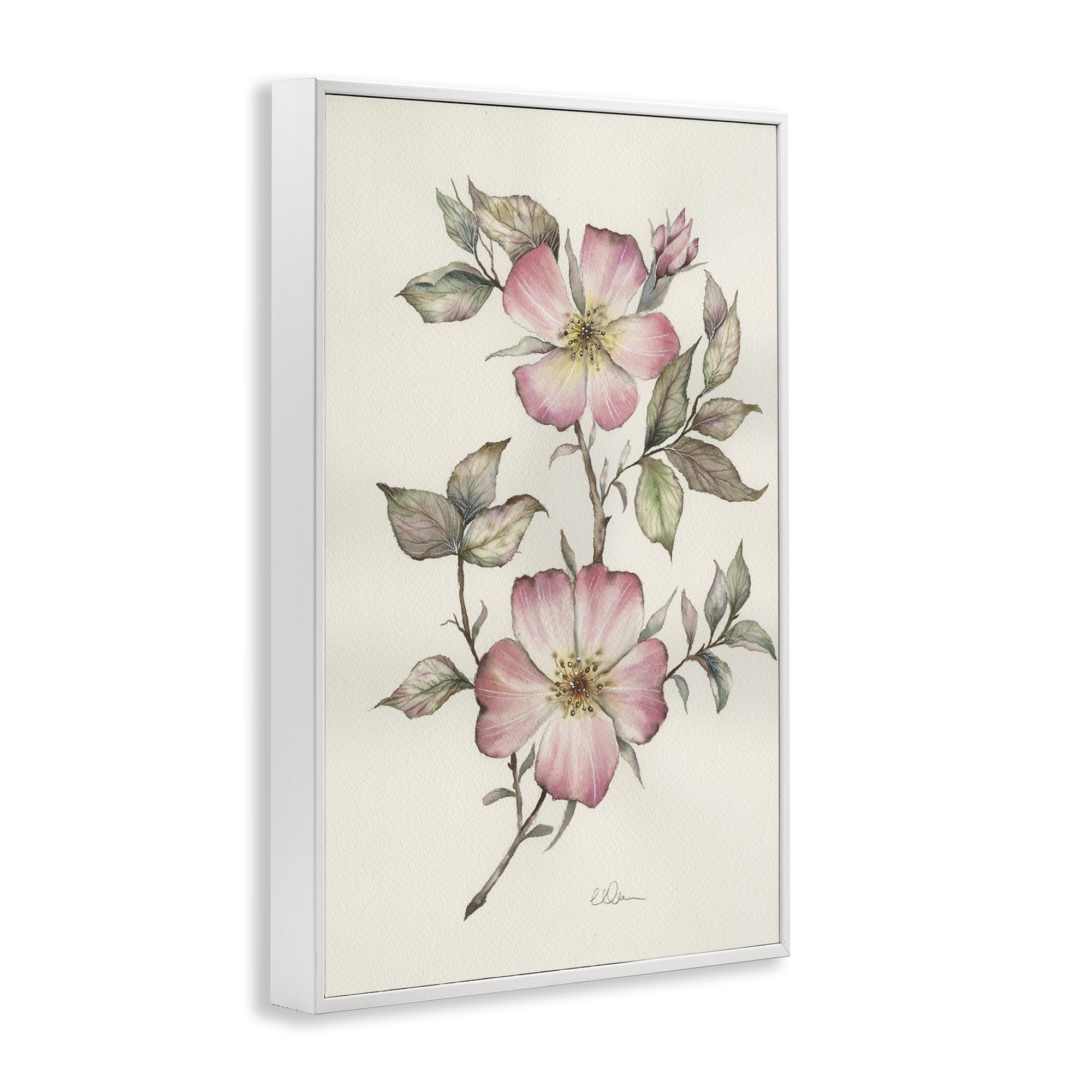 Stupell Industries Two Flowers Natural Study White Framed Giclee Art, design by Cady Driver