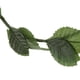 thumbnail image 5 of 4x Disfraz de Diadema de de Laurel de Griega Romana, 5 of 6