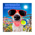 thumbnail image 5 of Kit 4 Juguetes Interactivos Cuerda Pelota Resistente Mascota Belug Multicolor, 5 of 5