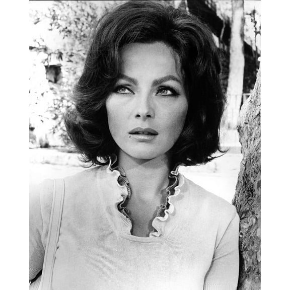 Virna Lisi Italian Actress Star 24x36 Classic Hollywood Poster