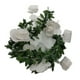 thumbnail image 2 of Guirnalda de Luces Led Navideñas de Ratán con Rosas, 3 Metros y 20 Luces, de Imitación de Ratán Verde, para Decoración de Habitaciones, Dormitorios, Bodas y Fiestas., 2 of 7