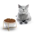 thumbnail image 3 of 1PC High Feet Pet Feeding Bowl Creative Slant Pet Food Dish Ceramic Pet Eating Bowl Cervical Spine Care Pet Feeding Container for Pet Cat Dog Use (White with Rack 17.8CM/800ML), 3 of 9
